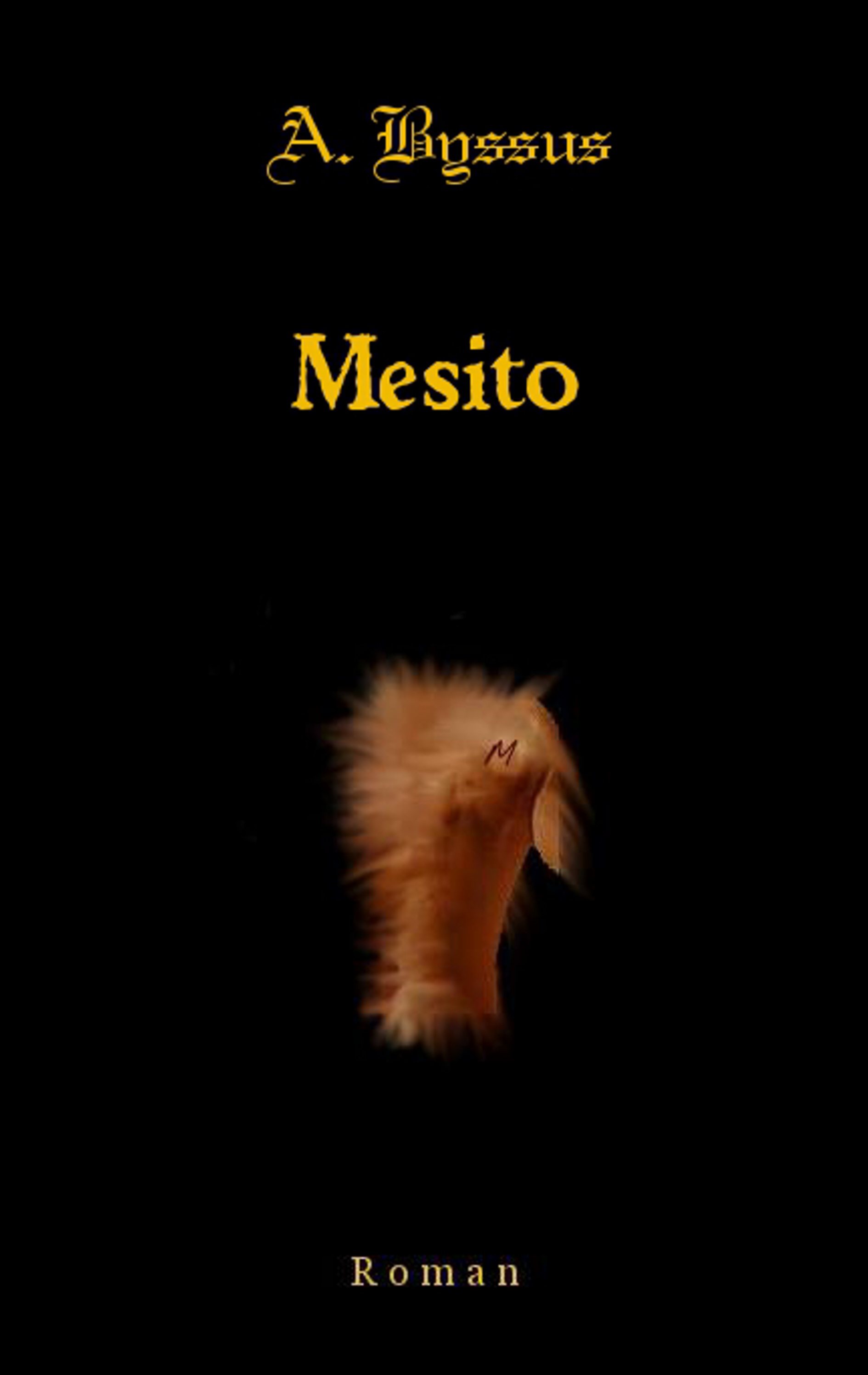 Cover Mesito
